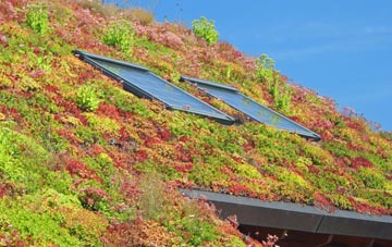 Mackerye End living roof systems